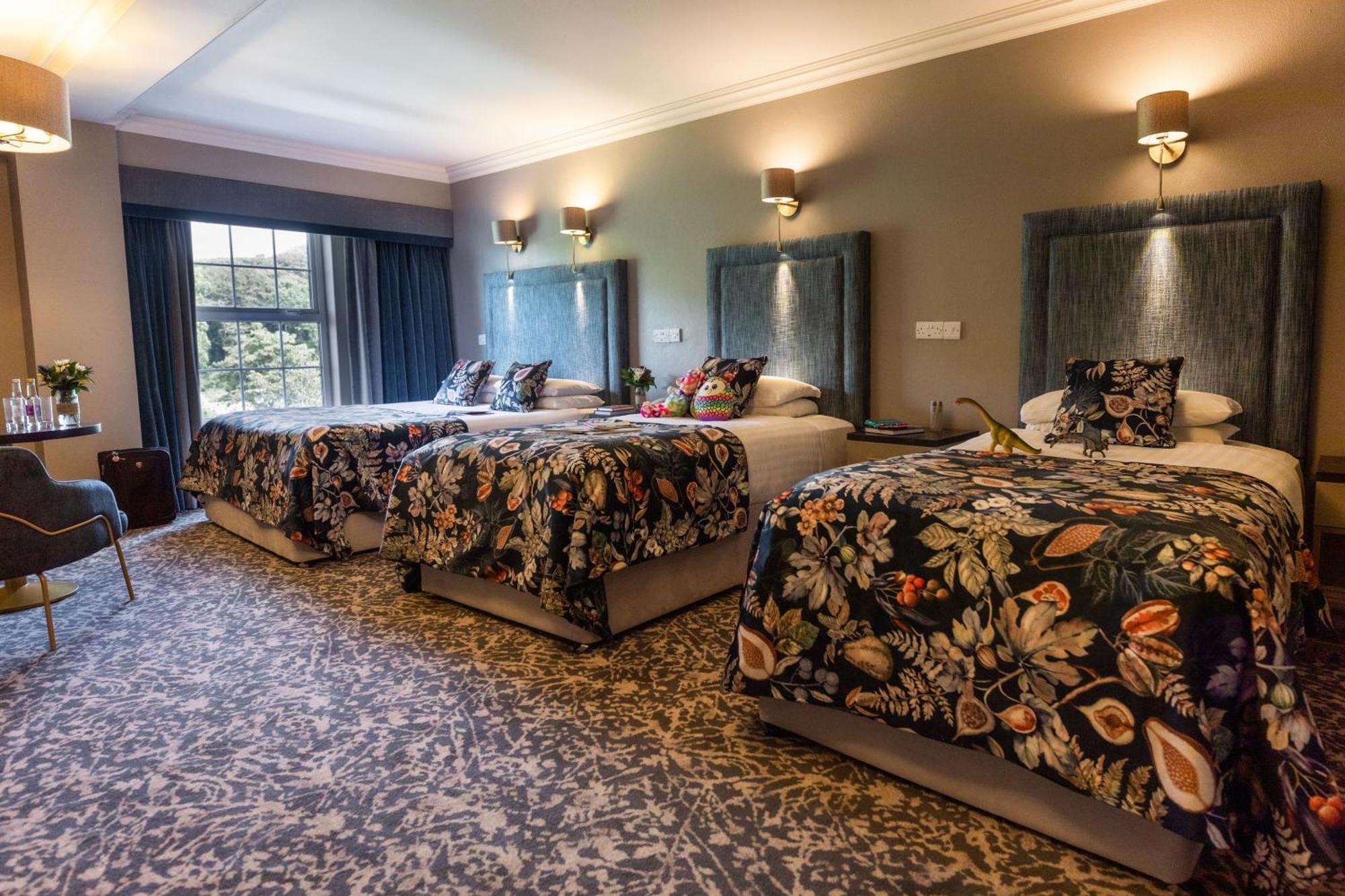 Falls Hotel & Spa Енністімон Екстер'єр фото